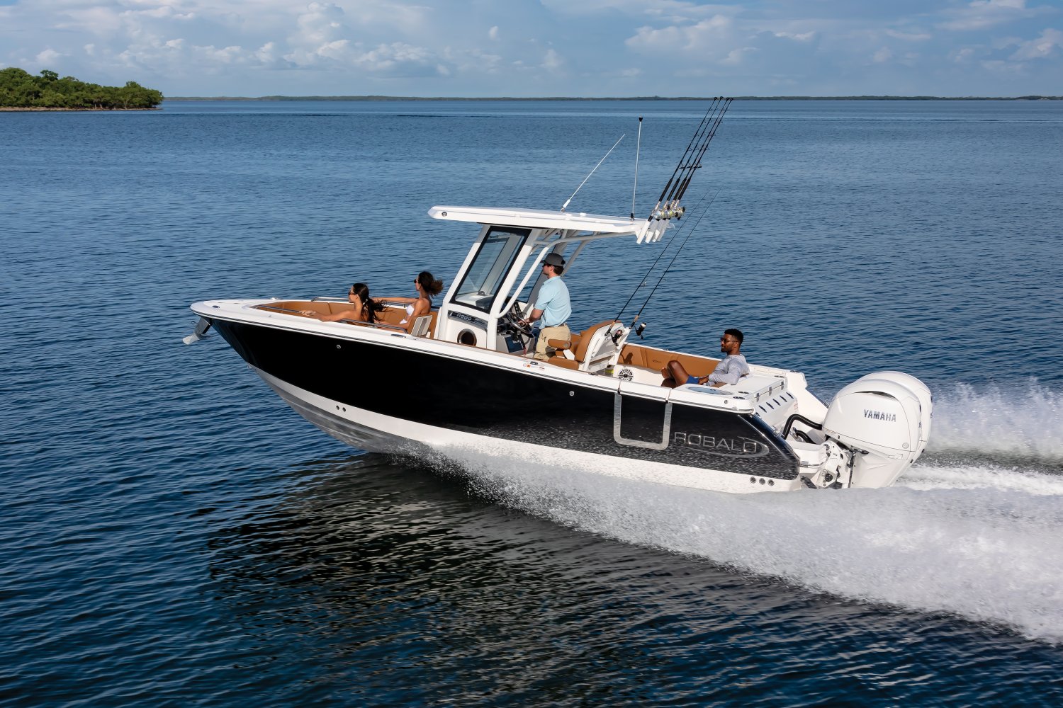 2026 Robalo R250 6488